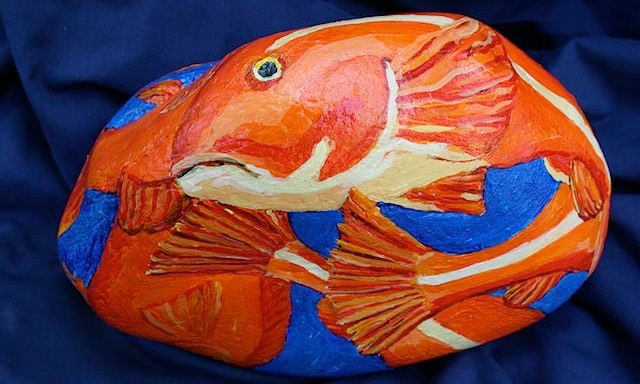 rockfish (sold)